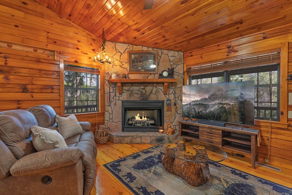216 Pig Trail, Cherry Log GA 30522 - Photo