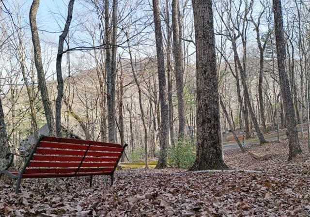705 Laurel Ridge Drive, Ellijay GA 30536 - Photo