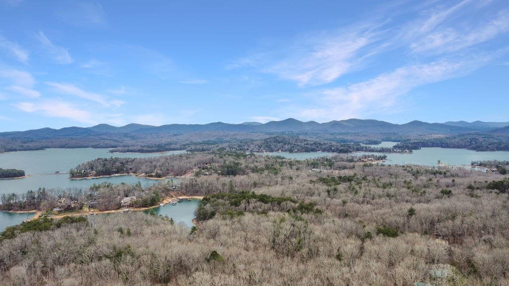 45 Wilderness Trail, Blue Ridge GA 30135 - Photo