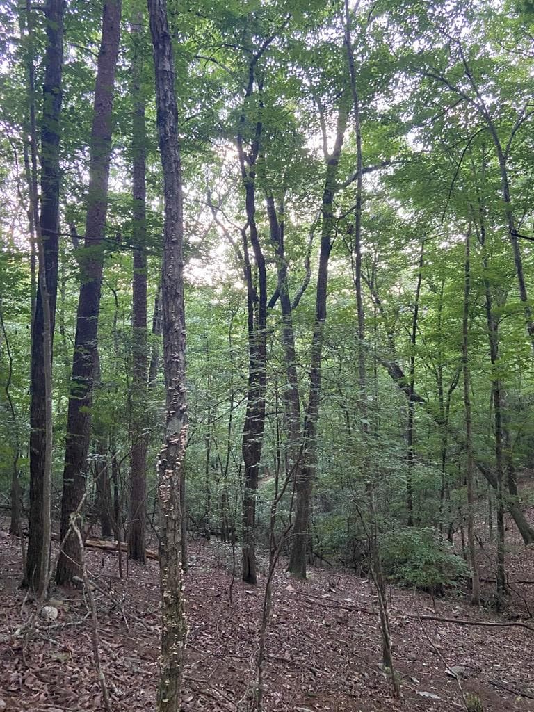 Lot 58 Cherokee Circle, Ellijay GA 30536 - Photo