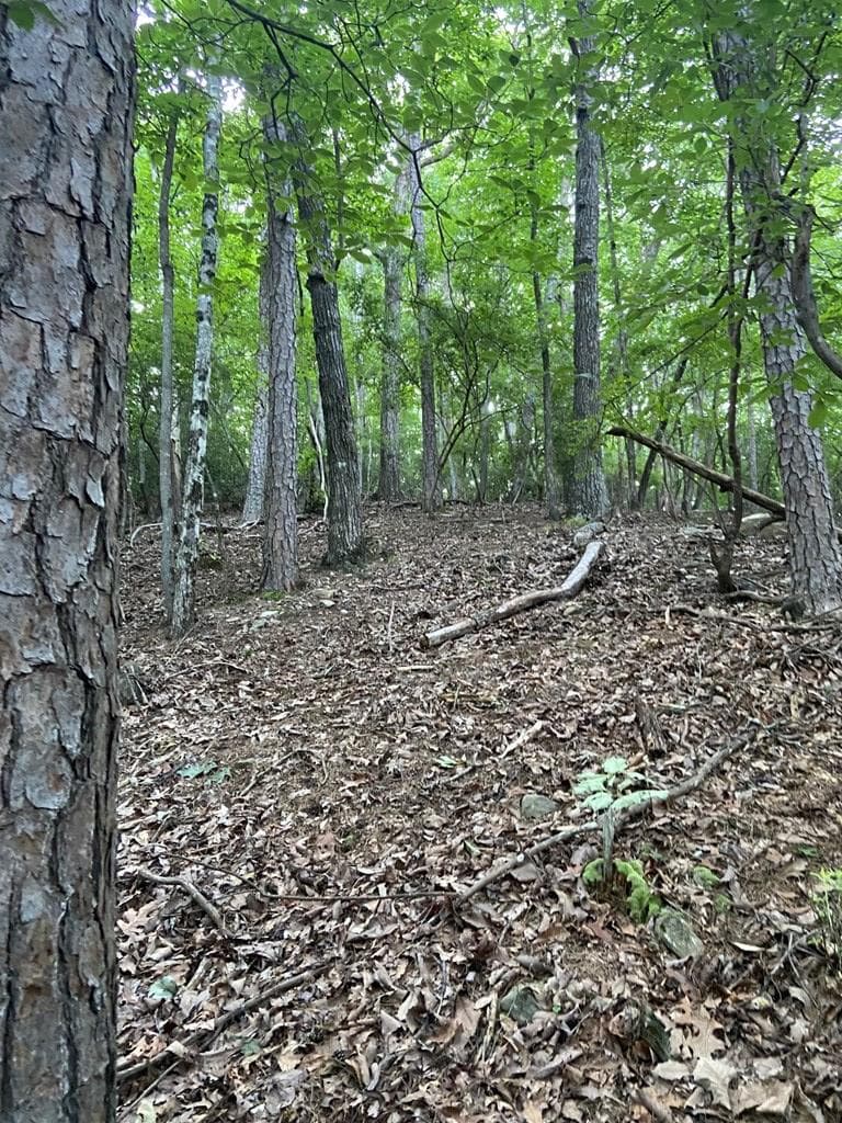 Lot 58 Cherokee Circle, Ellijay GA 30536 - Photo