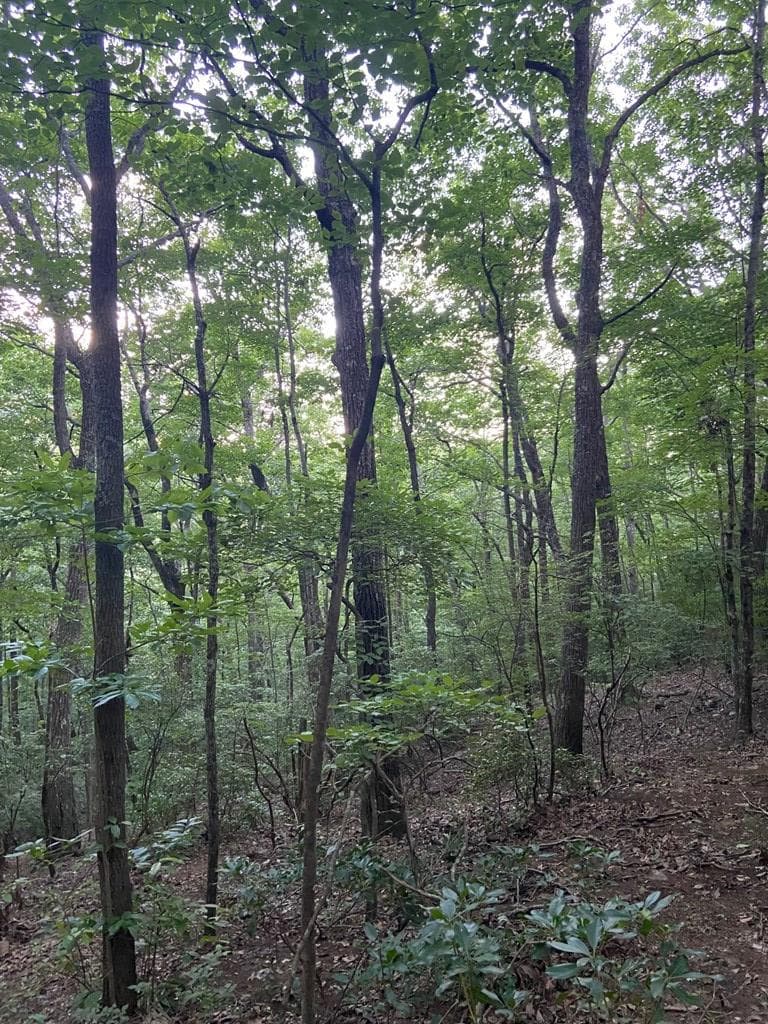 Lot 58 Cherokee Circle, Ellijay GA 30536 - Photo