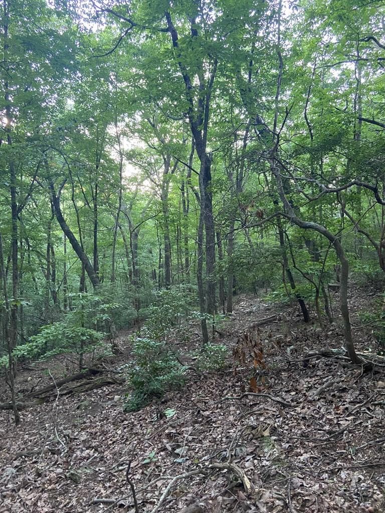 Lot 58 Cherokee Circle, Ellijay GA 30536 - Photo