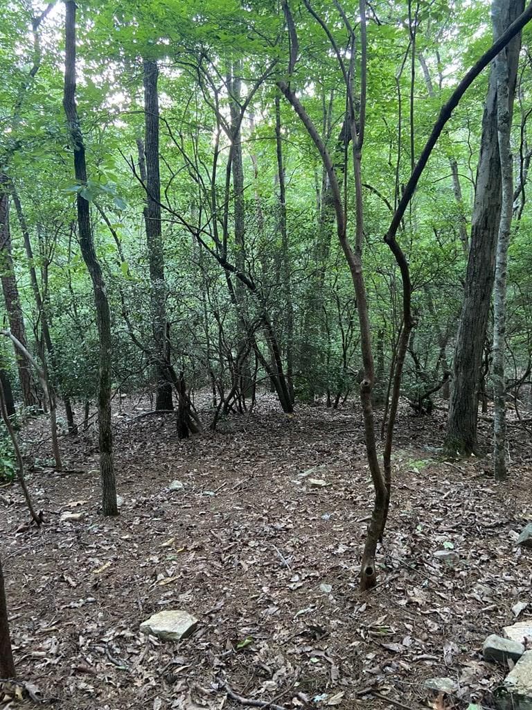 Lot 58 Cherokee Circle, Ellijay GA 30536 - Photo