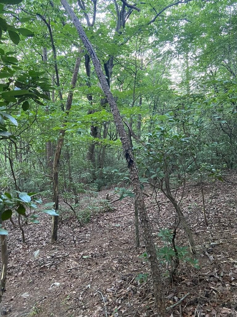 Lot 58 Cherokee Circle, Ellijay GA 30536 - Photo