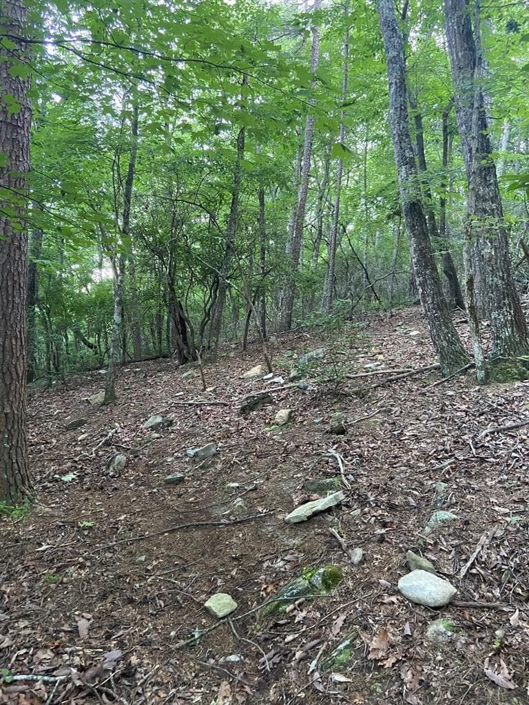 Lot 58 Cherokee Circle, Ellijay GA 30536 - Photo