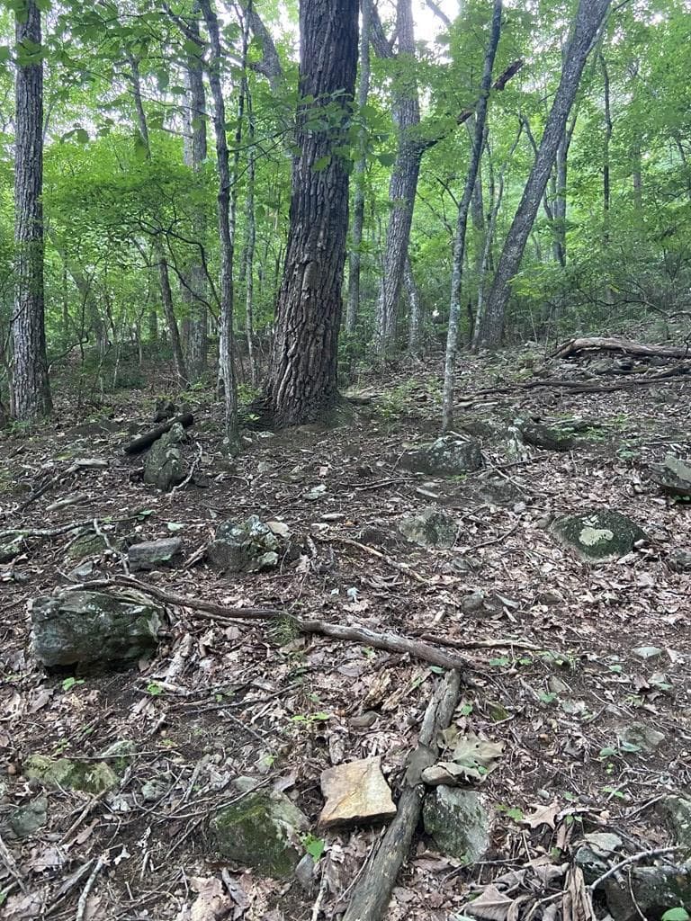 Lot 58 Cherokee Circle, Ellijay GA 30536 - Photo