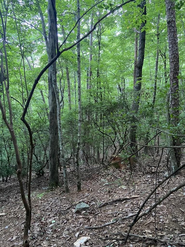 Lot 58 Cherokee Circle, Ellijay GA 30536 - Photo