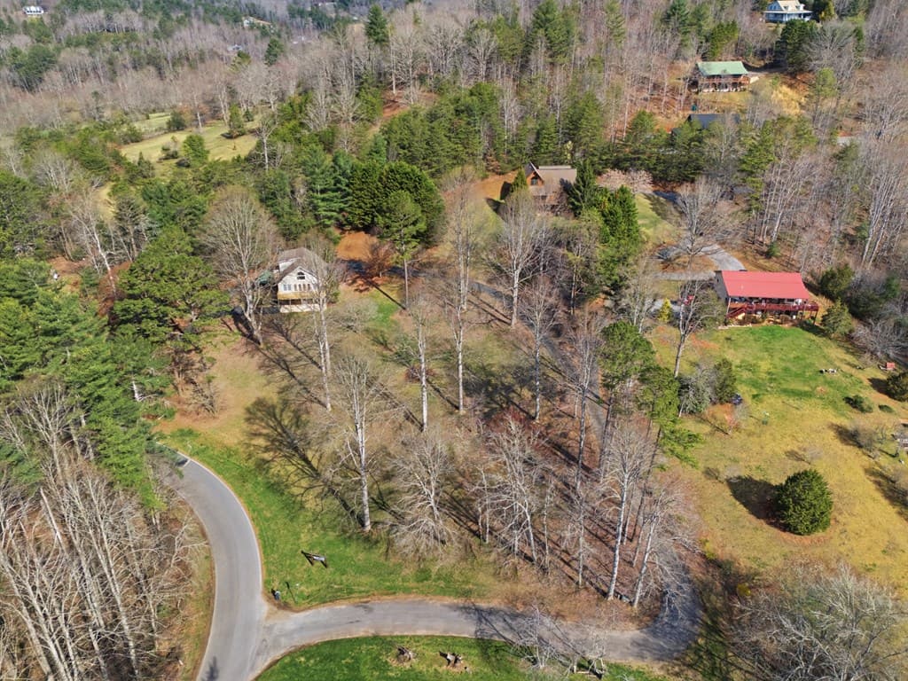 3015 Bear Lane, Hiawassee GA 30546 - Photo