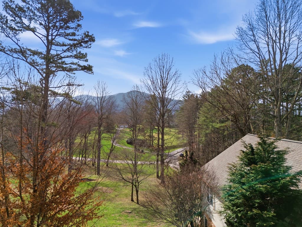 3015 Bear Lane, Hiawassee GA 30546 - Photo