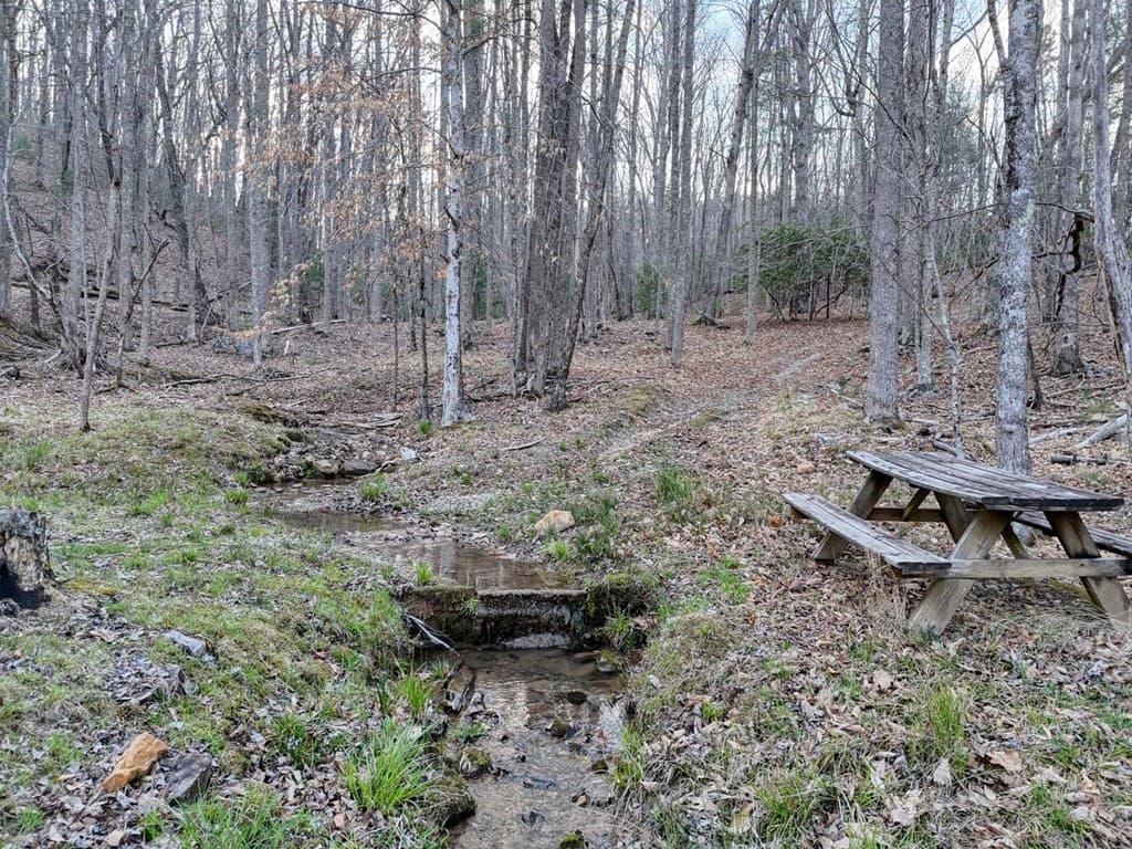 633 Timber Ridge Road, Blairsville GA 30512 - Photo