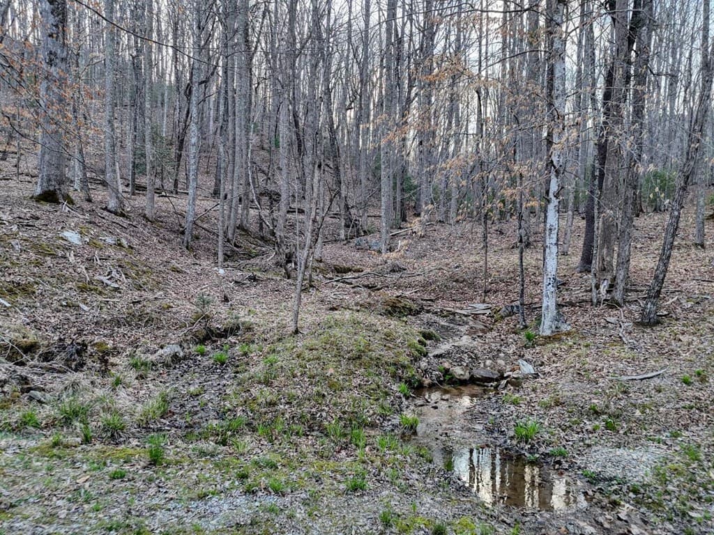 633 Timber Ridge Road, Blairsville GA 30512 - Photo
