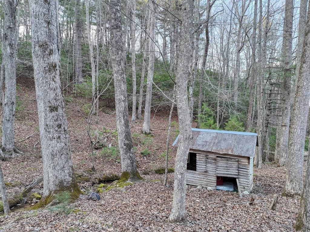 633 Timber Ridge Road, Blairsville GA 30512 - Photo