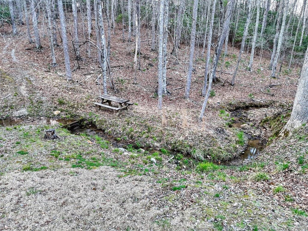 633 Timber Ridge Road, Blairsville GA 30512 - Photo