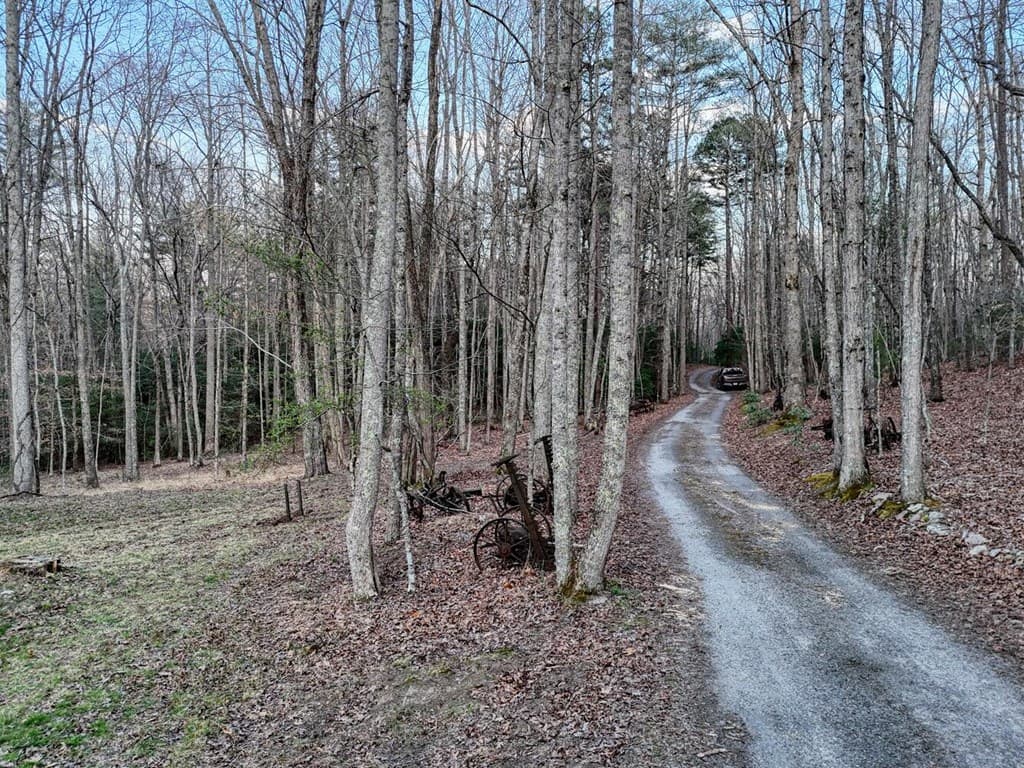 633 Timber Ridge Road, Blairsville GA 30512 - Photo