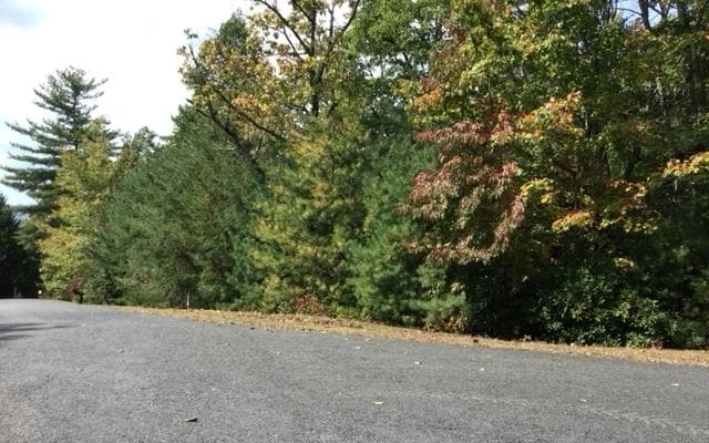lot 18 Shelton Springs Drive, Hayesville NC 28904 - Primary photo