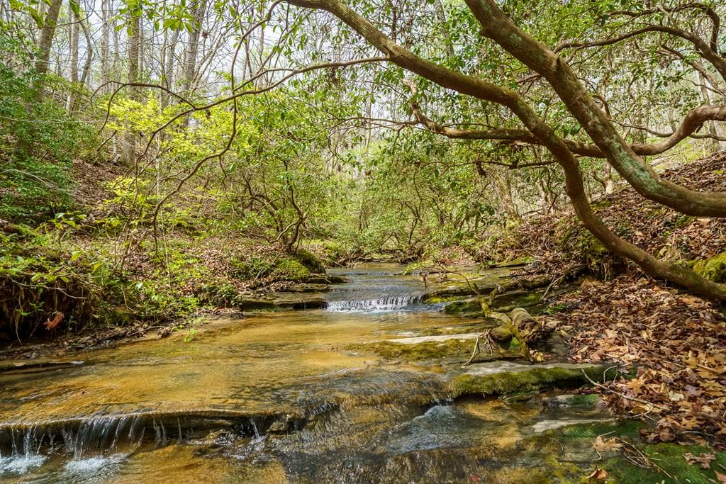 3467 Carver Mill Road, Talking Rock GA 30175 - Photo