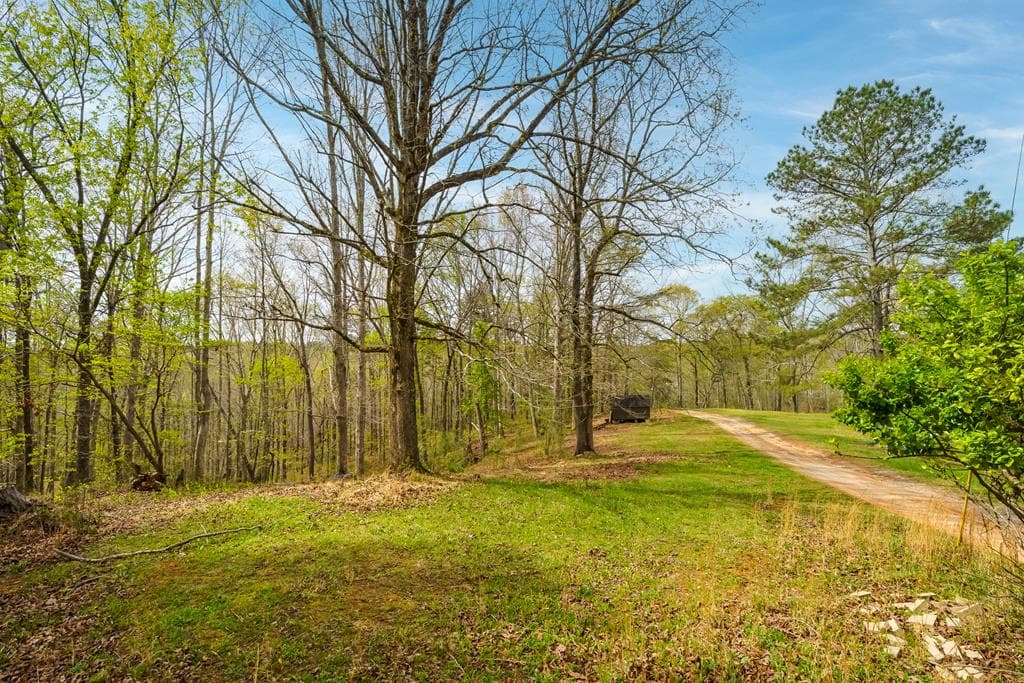 3467 Carver Mill Road, Talking Rock GA 30175 - Photo