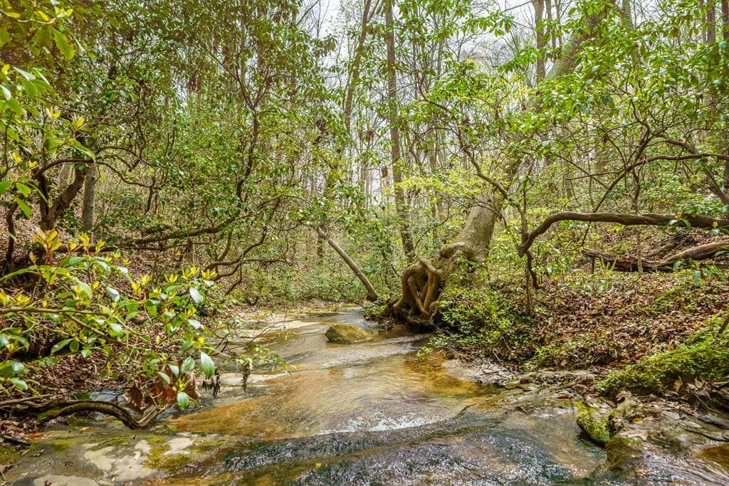 3467 Carver Mill Road, Talking Rock GA 30175 - Photo