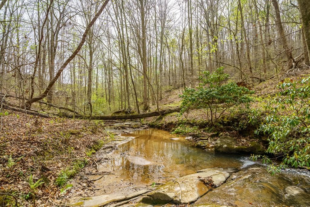 3467 Carver Mill Road, Talking Rock GA 30175 - Photo
