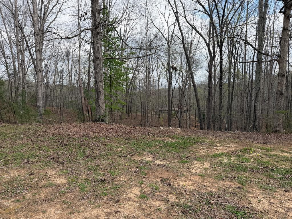 3467 Carver Mill Road, Talking Rock GA 30175 - Photo