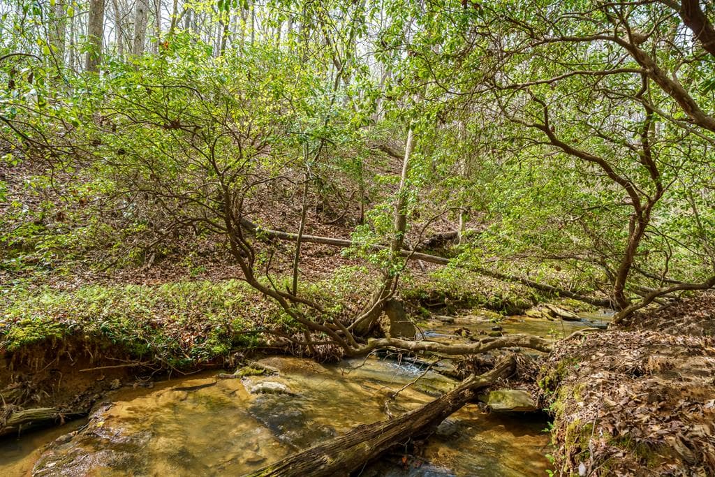 3467 Carver Mill Road, Talking Rock GA 30175 - Photo