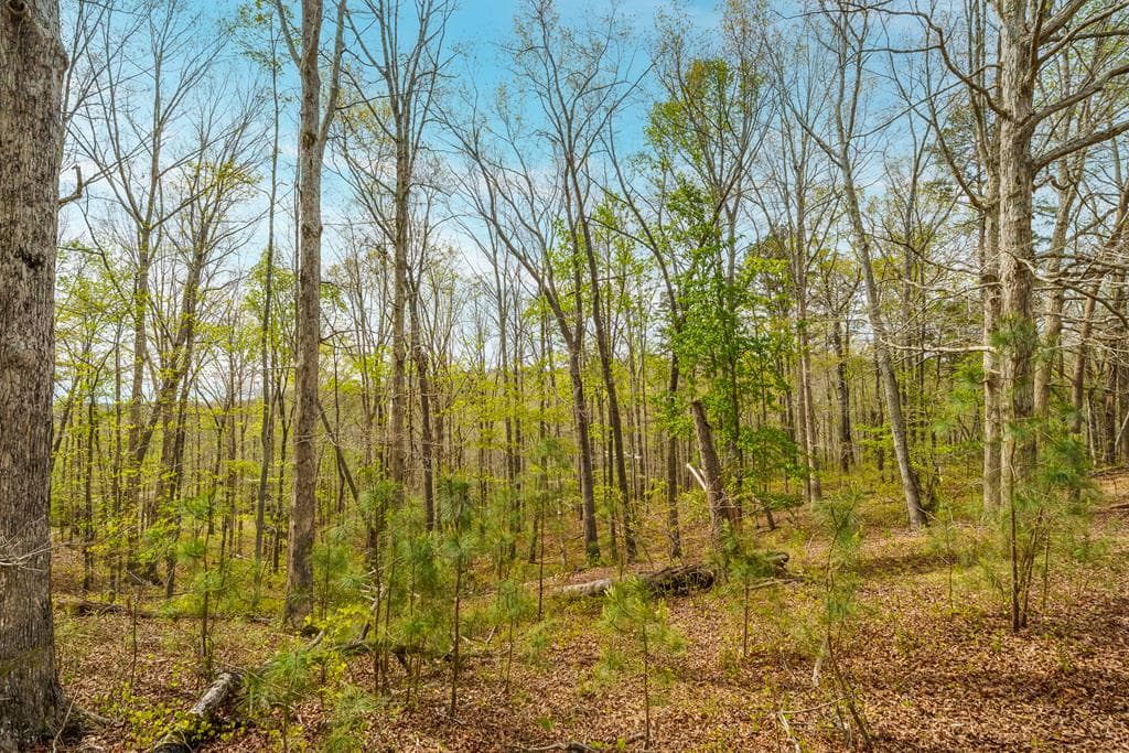 3467 Carver Mill Road, Talking Rock GA 30175 - Photo