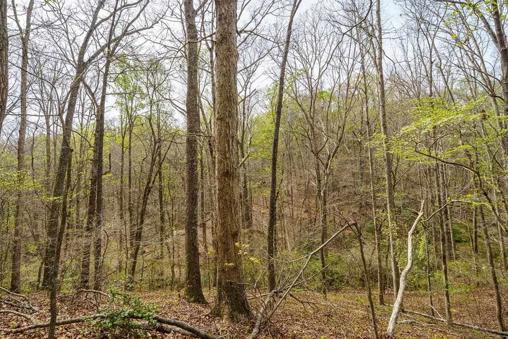 3467 Carver Mill Road, Talking Rock GA 30175 - Photo