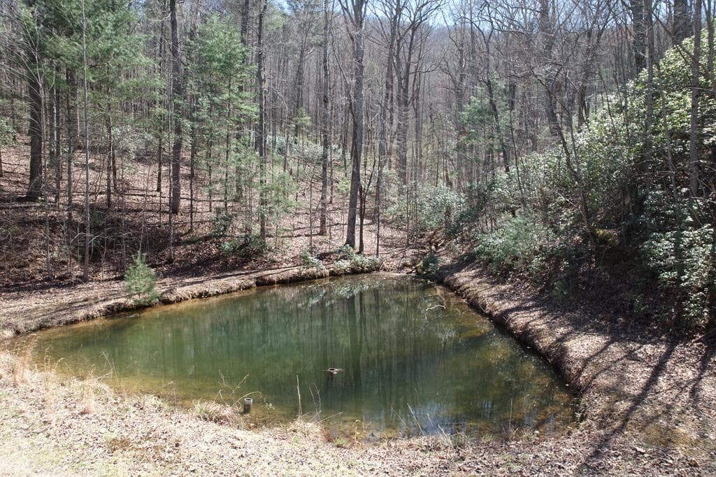 457 Youngblood Drive, Blairsville GA 30512 - Photo