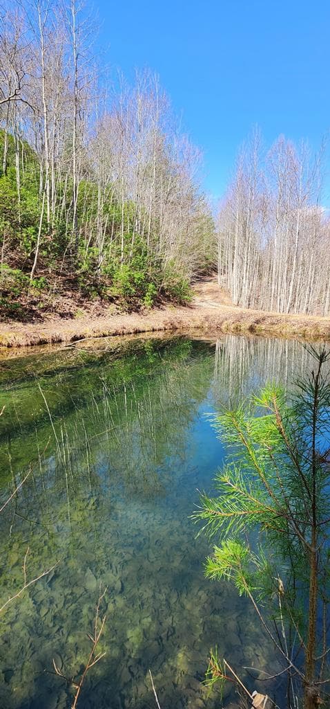 457 Youngblood Drive, Blairsville GA 30512 - Photo