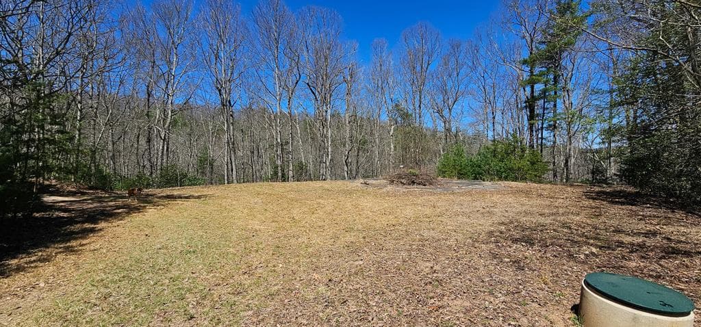 457 Youngblood Drive, Blairsville GA 30512 - Photo