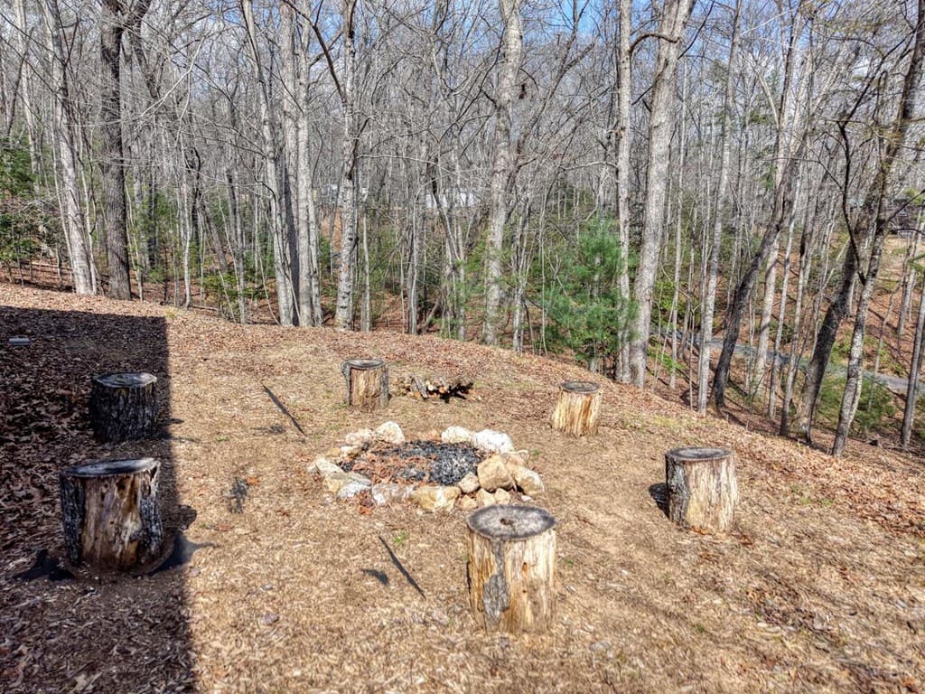 450 Mull Valley Road, Morganton GA 30560 - Photo