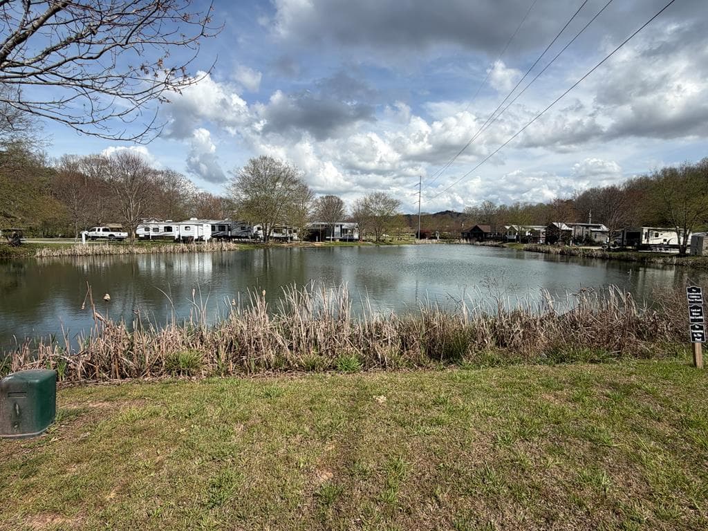 Lot 55 Mountain Meadows, Morganton GA 30560 - Photo