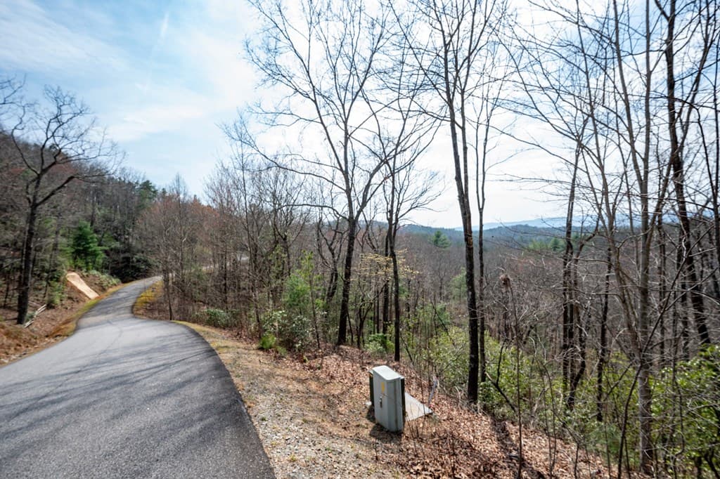 Lot 7 Oceola Drive, Ellijay GA 30540 - Photo