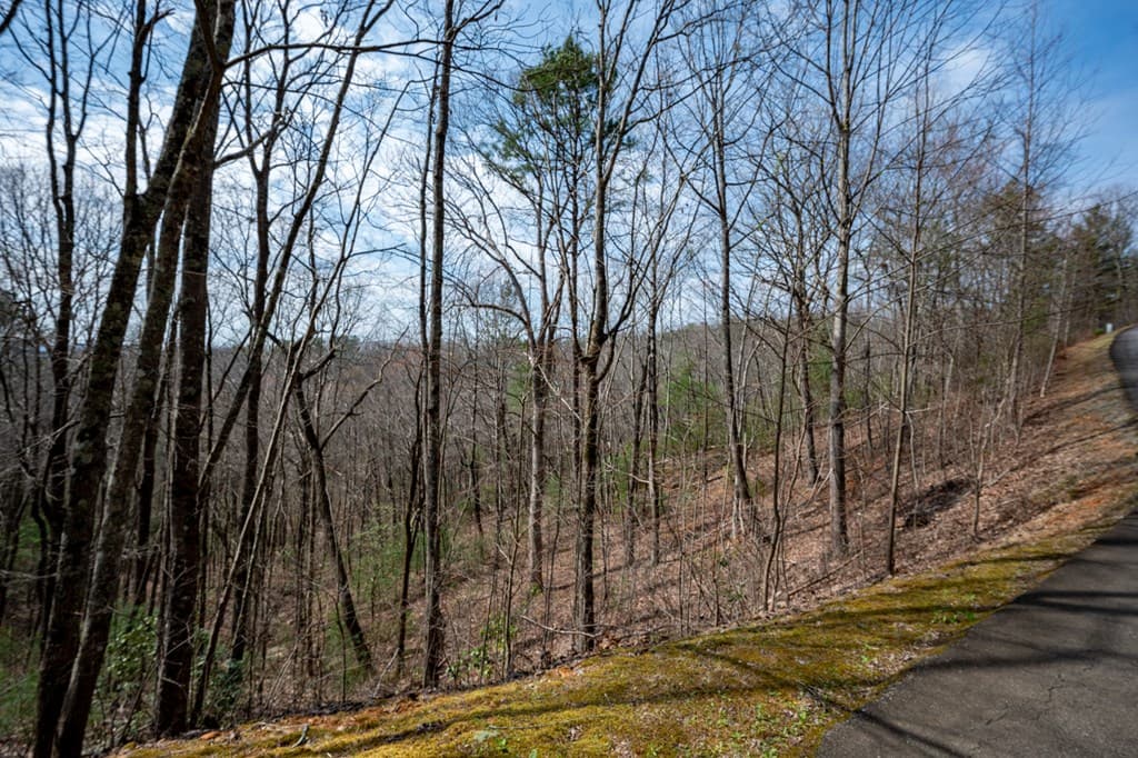 Lot 7 Oceola Drive, Ellijay GA 30540 - Photo
