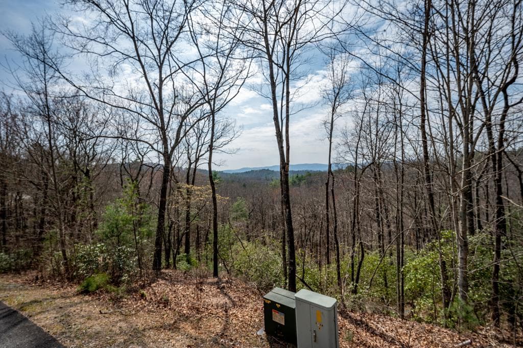Lot 7 Oceola Drive, Ellijay GA 30540 - Primary photo