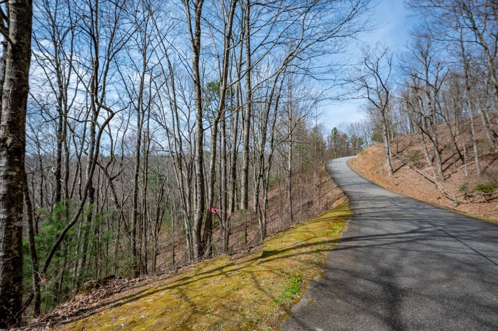 Lot 7 Oceola Drive, Ellijay GA 30540 - Photo