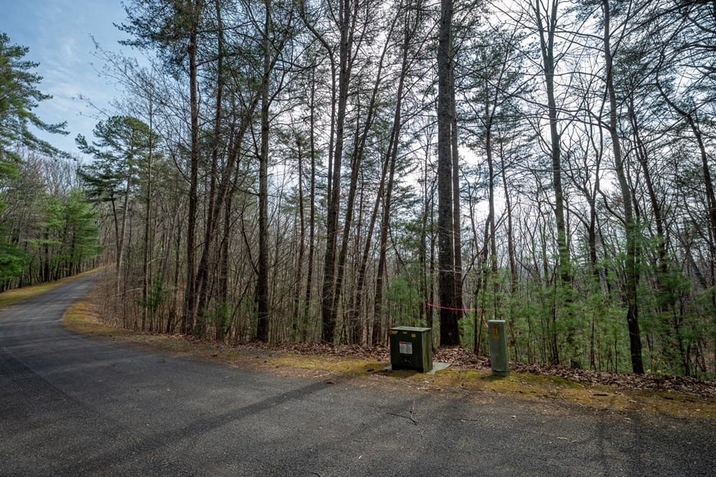 Lot 8 Oceola Drive, Ellijay GA 30540 - Photo