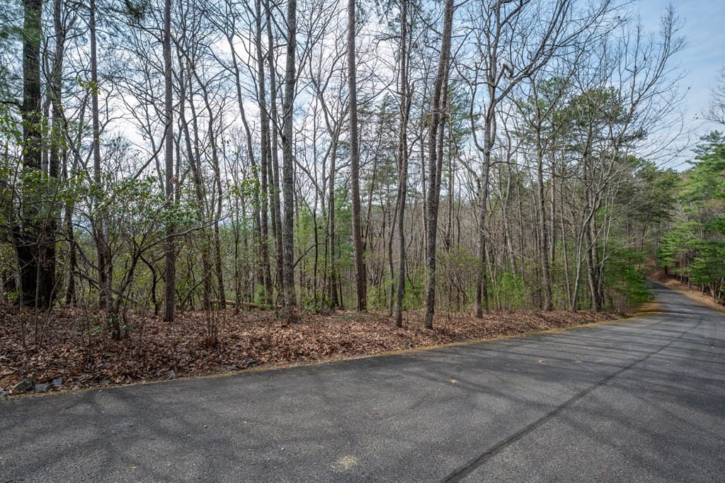Lot 8 Oceola Drive, Ellijay GA 30540 - Photo