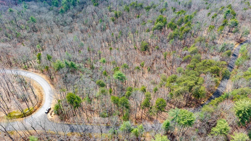 Lot 8 Oceola Drive, Ellijay GA 30540 - Photo