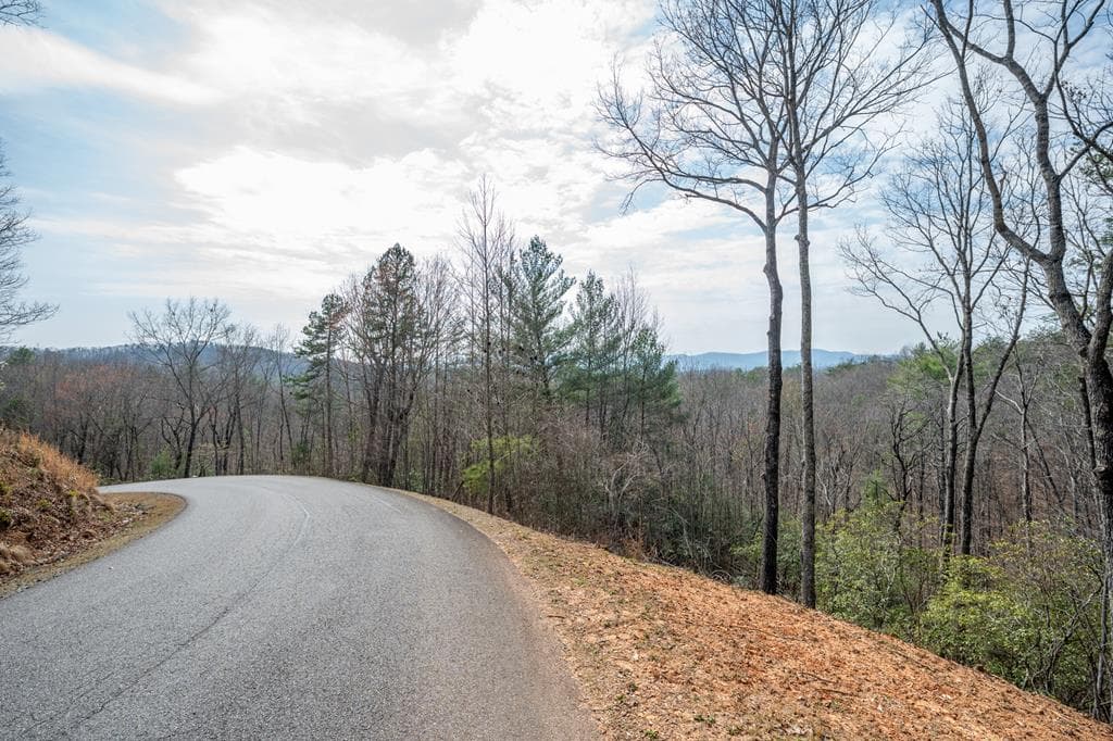 Lot 8 Oceola Drive, Ellijay GA 30540 - Primary photo