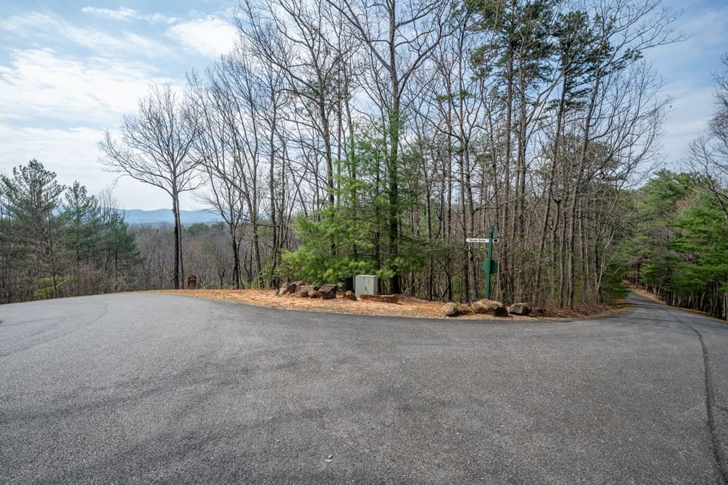 Lot 8 Oceola Drive, Ellijay GA 30540 - Photo