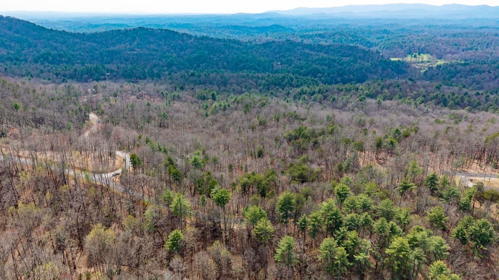 Lot 8 Oceola Drive, Ellijay GA 30540 - Photo