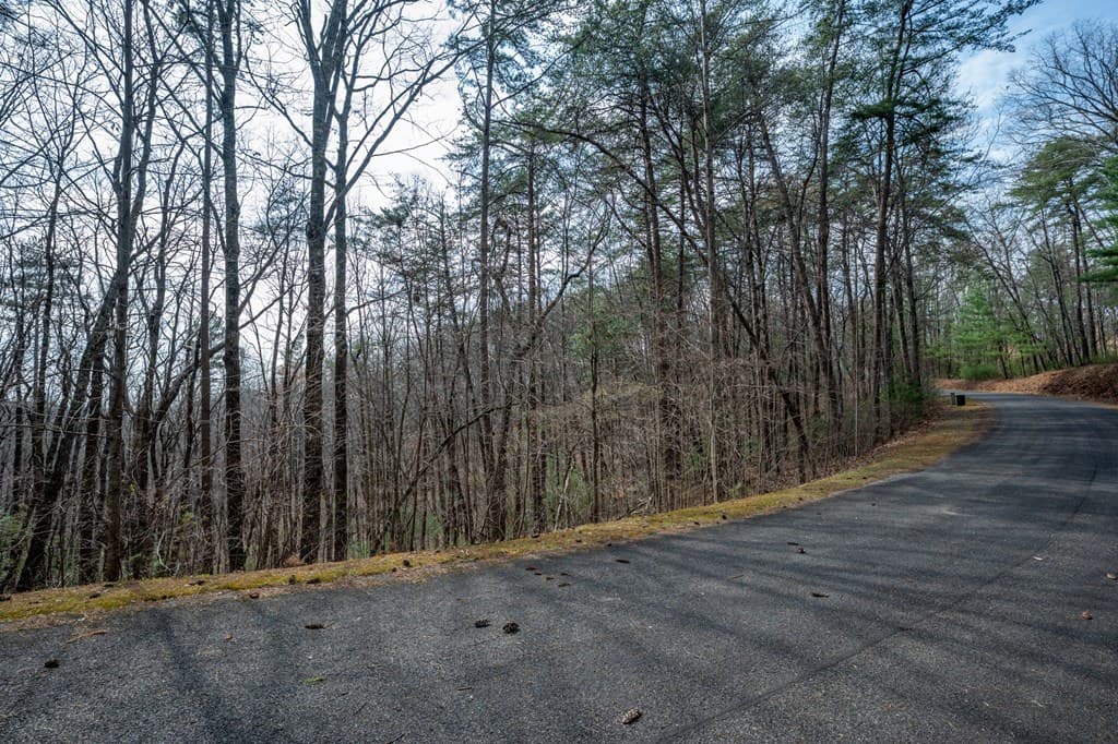 Lot 8 Oceola Drive, Ellijay GA 30540 - Photo