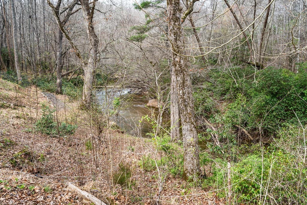 1721 Settlement Road, Young Harris GA 30582 - Photo