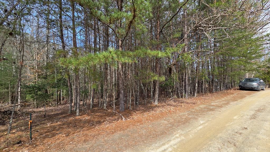 Lot 25 Pine Log Circle, Warne NC 28909 - Photo