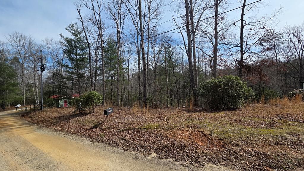 Lot 25 Pine Log Circle, Warne NC 28909 - Photo