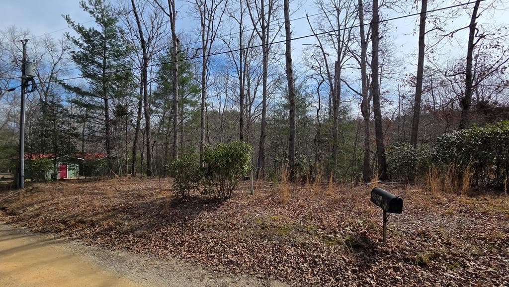 Lot 25 Pine Log Circle, Warne NC 28909 - Photo