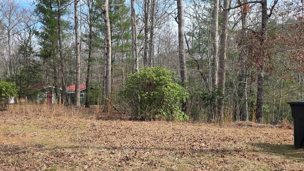 Lot 25 Pine Log Circle, Warne NC 28909 - Photo