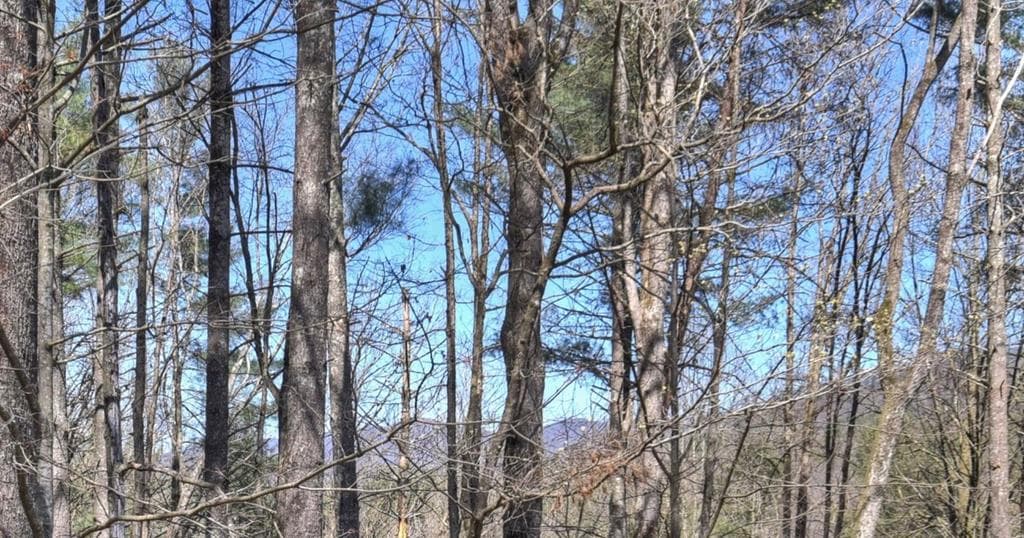 396 Dover Falls Trail, Ellijay GA 30540 - Photo